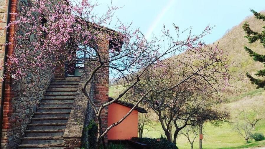 Agriturismo Paradiso41 Asyż Zewnętrze zdjęcie