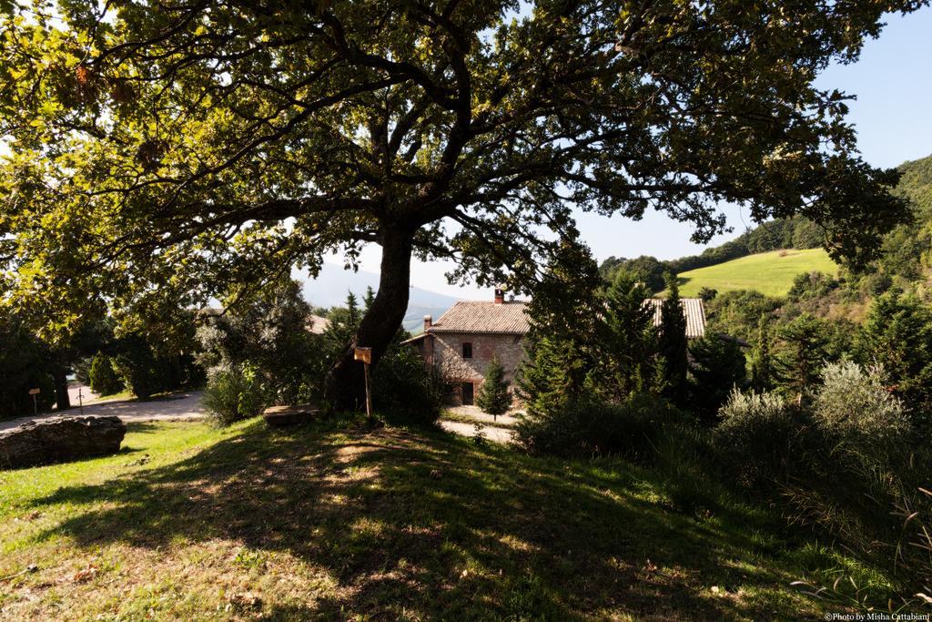 Agriturismo Paradiso41 Asyż Zewnętrze zdjęcie