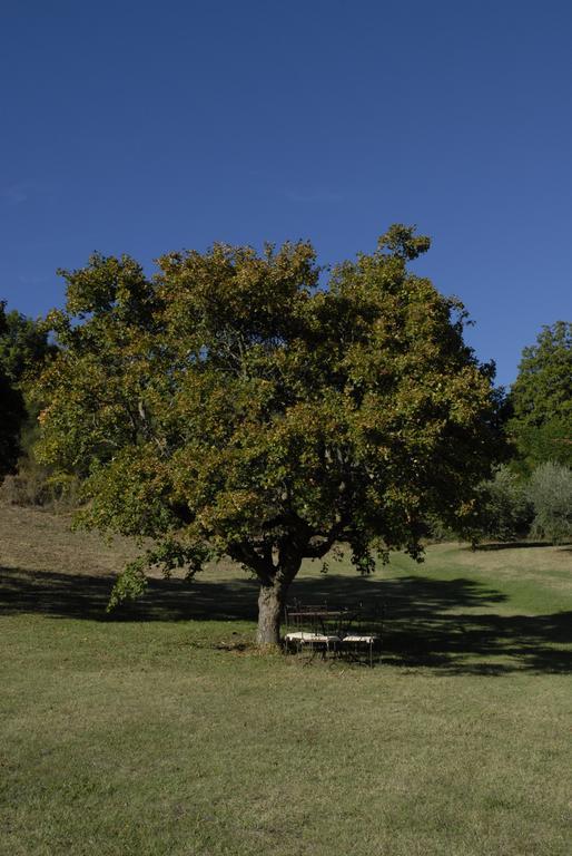 Agriturismo Paradiso41 Asyż Zewnętrze zdjęcie