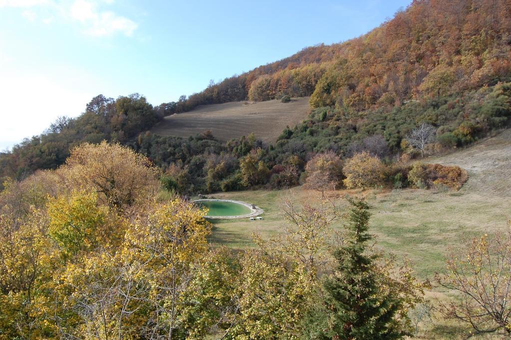 Agriturismo Paradiso41 Asyż Zewnętrze zdjęcie
