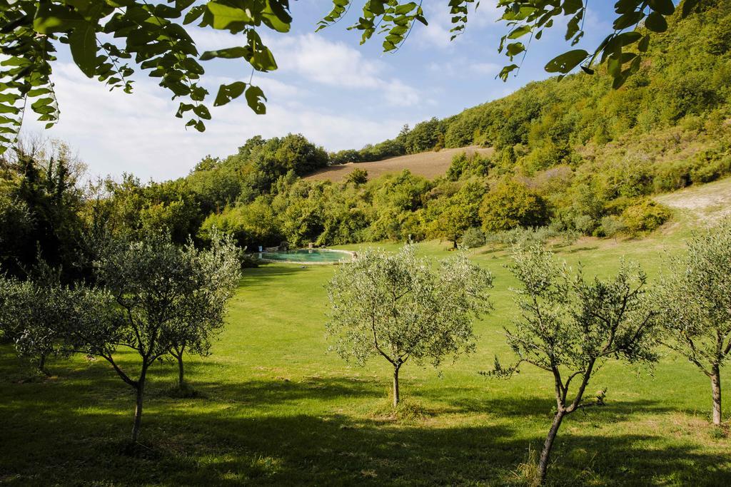 Agriturismo Paradiso41 Asyż Zewnętrze zdjęcie